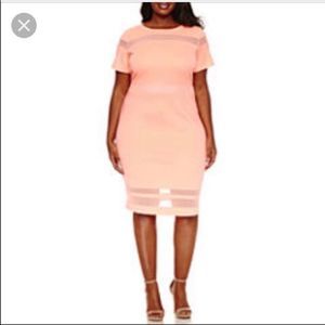 CORAL SHEATH SHEER  PANEL CAP SLEEVE DRESS